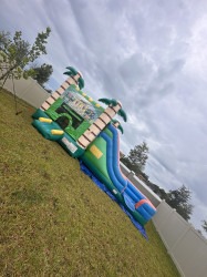 IMG 1576 1758160462 Tropical Combo with Side Slide